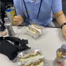 (주)씨에이치알이랴이랴 | DB 마이저널] 드림리더 성장캠프에서는 뭐할까? 2박 3일 솔직 후기✨ㅣ강연부터 멘토링, 드림랩스 기획까지!