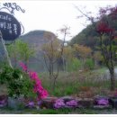 서성리 입구 티스토리