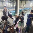 위림초등학교 이미지