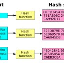 해시(hash) 이미지