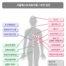 서울노블레스의원