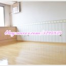 플러스텔Ⅱ 이미지