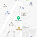 강아지분양 고양이분양 컴투펫 수원점 이미지