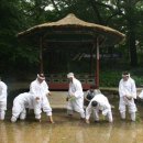 정영식품 이미지