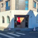 카페하라 | 〔명지 디저트카페〕하라케이크 두쫀쿠 후기｜ 딸이 엄지 척한 진짜 맛집