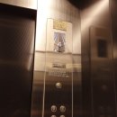 맵시프라자 이미지