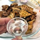 세븐일레븐 인천계양효성점 | 계양구 치킨 맛집 추천, 지코바치킨 효성1호점 반반메뉴(양념+소금) 리얼 후기