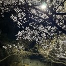 팔달공원