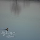선택의자유3