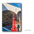 금빛 반달고개 이미지