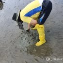 해루질 - 양산시 | 해루질
