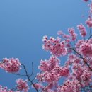 성북2리마을회관 이미지