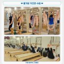 더핌필라테스 | 도래울 필라테스 리뷰 찐효과 인정받은 더 핌 기구필라테스 원흥역점 다녀온 후기