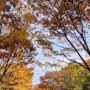 오조산로 21번길 이미지