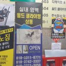 조이월드 | [소소한이야기] 클라이밍 체험