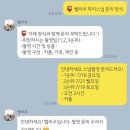 벨라주 | 프랑스 파리 스냅사진 업체 추천 ‘벨라주’ 내돈내산 후기 (벨라주X마리에블랑 웨딩 패키지, 오전...