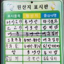 요기소먹으면돼지 이미지