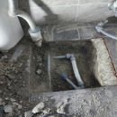 백송화장실 이미지