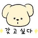 아너스세탁 이미지