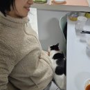 나우동물의료센터 이미지