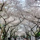 동대신 삼익아파트 | 부산 닥밭골벽화마을 소망계단 모노레일 대기시간 실제 후기