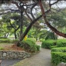 하성면 행정복지센터 이미지