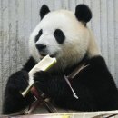 씨유(cu)왕십리씨티점 | (일상11)잠실새내 술집+씨유 디저트+노제커피 샌드위치+영화 쥬라기월드 새로운시작 관람 후기