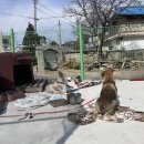 와이낫양양 이미지