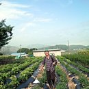 주형농장 이미지