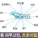 올리브피부샵 네이버블로그