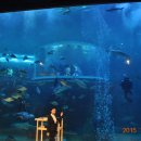 반딧불요양원 이미지