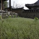 우금촌두암고택 이미지