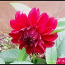 허균,허난설헌기념관 이미지