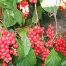 남계농장 이미지