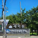 세미원 | [양평] 세미원 방문 후기