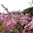 팔공노인복지관 이미지