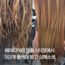 원지현네일 | [영통역 미용실] 원지현 수석실장의 무드 있는 디자인, 5단계 풀케어 클리닉 후기