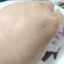 블루버드네스트