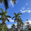 세인트루시아 | [호주] 브리즈번 골프장추천 라운딩투어 St Lucia Golf Links 세인트루시아 GC 후기.