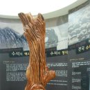 수석전시관 이미지