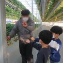 승언농장 이미지