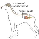 방주동물의료센터 이미지