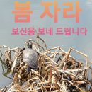 죽어도 사랑해ㅡ거미노래ㅡ드라마 OSTㅡ대물 드라마 영상 입니다ㅡ 이미지