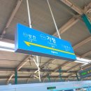 뉴라온다이어트캠프 이미지