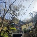 비밀의 정원 | 양산초캠 정모 다녀왔어요🌸 비밀의 정원 캠핑 + 사리암 후기