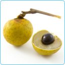 롱간 (Longan; 용안; 龍眼) / 열대과일 이미지