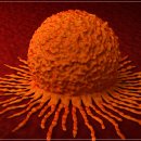 삼성연합의원 이미지