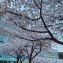 원주백운아트홀 이미지