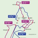 지도 왕벚나무길 이미지