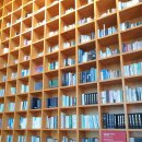 지혜의숲 이미지